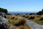 Takahe 6_600x400